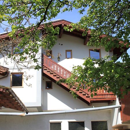 Ferienhaus Islitzer Hollersbach im Pinzgau Luaran gambar