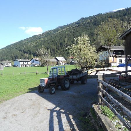 Ferienhaus Islitzer Hollersbach im Pinzgau Luaran gambar