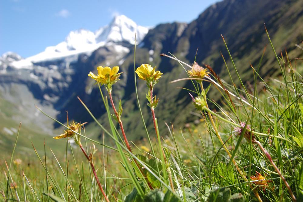 Ferienhaus Islitzer Hollersbach im Pinzgau Luaran gambar